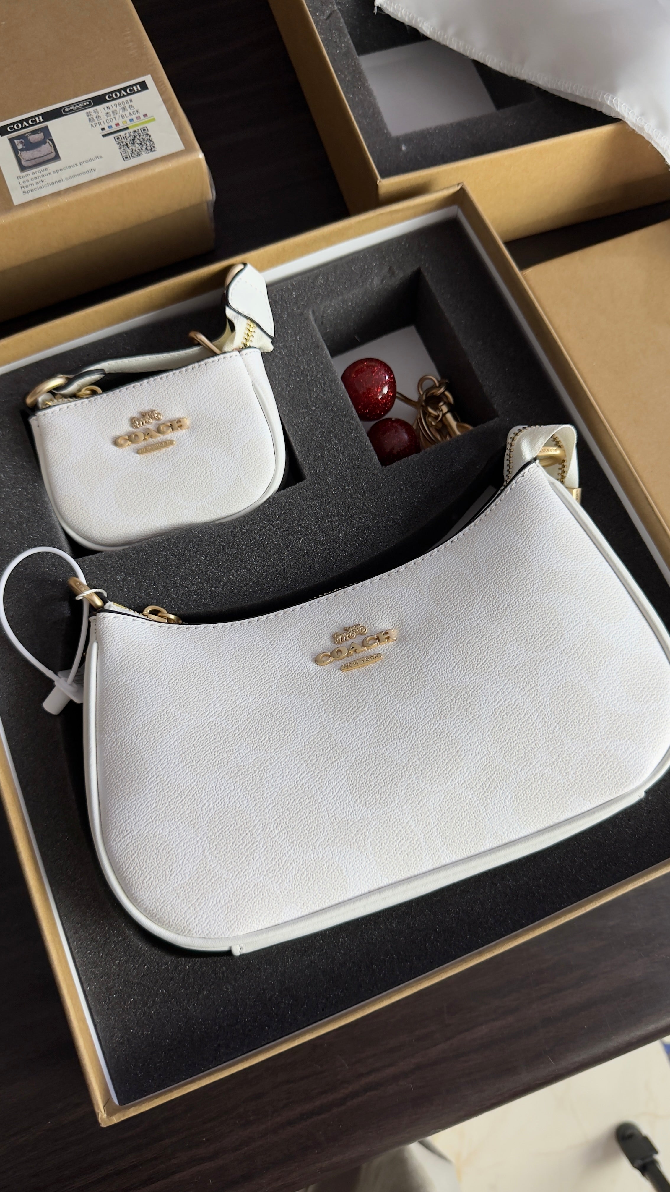 Coach Signature Canvas Penn Bag with Cherry Charm Set